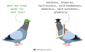 The gradual loss of hair from head or body. 10 Hair Loss Synonyms Similar Words For Hair Loss
