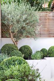 63 Contemporary Garden Design Alteration And Refurbishment With Modern Planting Scheme 22 Https Found Kredilerbura Mit Bildern Garten Design Garten Steinmauer Garten