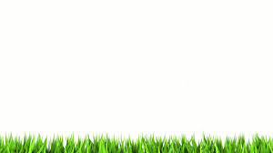 Here are 10 best and most recent times square high resolution for desktop computer with full hd 1080p (1920 × 1080). Plain White Wallpaper High Quality Resolution Click Wallpapers White Background Wallpaper White Wallpaper White Wallpaper Plain