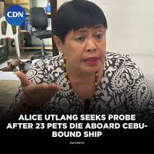 ICYMI: Dr. Alice Utlang, Cebu City veterinarian and head of the Department  of Veterinary Medicine and Fisheries, is seeking answers after more than 20  cats and dogs reportedly died aboard a passenger