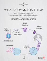 But there are a few key differences. Pfizer Moderna Covid 19 Vaccines Key Things To Know About Coronavirus Vaccines
