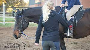 Maybe you would like to learn more about one of these? Reiten Mit Feldenkrais Und Welche Vorteile Es Bringt 360 Pferd
