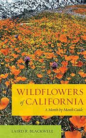 Check spelling or type a new query. Wildflowers Of California A Month By Month Guide Blackwell Laird 9780520272064 Amazon Com Books
