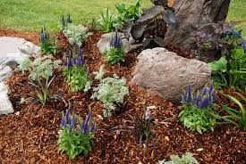 Blog 5 Ways To Use Bark Chippings In The Garden Stewarts Turf