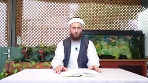 Muhabbet Kuslarinin Evde Beslemek Caiz Midir Youtube