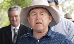 Queensland's newest LNP MP sparks glee