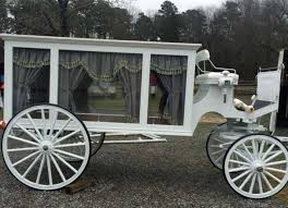 Our New Horse Drawn Hearse For Funerals And Parades In New Jersey Wagon For Wedding Long Way Home White Horses