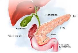 In this article, learn more about the signs and symptoms of pancreatic cancer, as well as the causes, treatment genetic factors. Pancreatic Cancer Symptoms Causes And Treatment