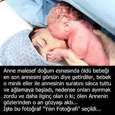 Sevgi Herseydir Degerin Ne Ise Icinde Sevgi Varsa Hakk Katinda Ederi Vardir Allah Rahmet Eyleye Ilham Verici Sozler Hayat Ilham Veren Alintilar