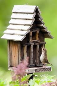 If you know what sort of looks you are after, that is a start. 40 Beautiful Bird House Designs You Will Fall In Love With Bored Art