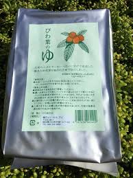 びわの葉療法健康会 びわ元気の店 Publications Facebook