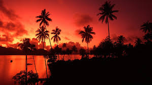 Check out this fantastic collection of fiji islands wallpapers, with 69 fiji islands background images for your desktop, phone or please contact us if you want to publish a fiji islands wallpaper on our site. Matagi Island Fiji Phone Wallpapers