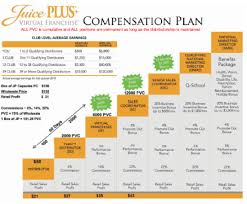 Soap Production Business Plan Juice Plus Business Plan