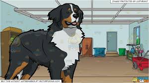Black Bernese Mountain Dog Clipart A Curious Bernese Mountain Dog And An Organized Garage Background Bernese Mountain Dog Mountain Dogs Studio Background