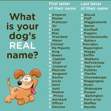 Whether it's a girly name, something spunky, or a creative standout, it's gotta be perfect. 8 List Of Pet Names Ideas For Males Females Pet Names Names Puppy Names