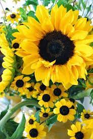 Love Sunflowers This Is A Gorgeous Arrangement Beautiful Flowers Flowers Pretty Flowers