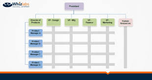 matrix organizational structure a complete guide