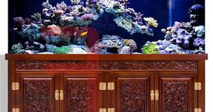 Pin Di Aquarium
