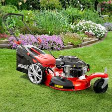 Kaufen oder verkaufen sie hier alles für den garten! Powertec Garden Benzin Rasenmaher Bw 56 Trike Von Norma Ansehen