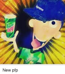Furry memes • pfp by @sebac_101 • head admin: New Pfp Meme On Me Me