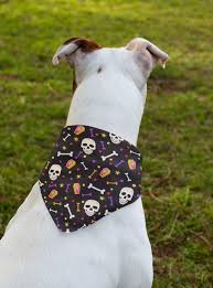 Pin On Dogs Dogs Dogs