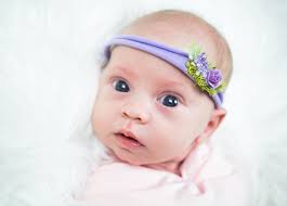 Laura Andrews Photography