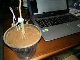 It connects to an mqtt server then: Not Just Another Blog Using Thingsboard Mqtt Arduino To Monitor Plant Soil Moisture Temperature And Humidity Part 1