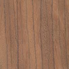 Image result for Berlinia orientalis