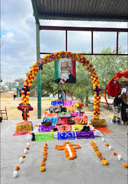 Compra y venta de cómics de Supermorra 🐸👌🏻(Grupo de TSG)