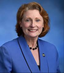 Jay Street Busway now made permanent