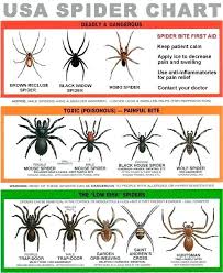 aid pest control a handy chart of spiders and an offer apply