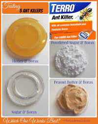 Are ant baits really an effective solution to help remove ants from your home? Borax Ant Killers Testing 5 Different Natural Ant Killers Against Terro