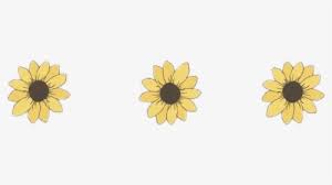 Transparent Aesthetic Flower Png Simple Aesthetic Drawing Sunflower Png Download Kindpng