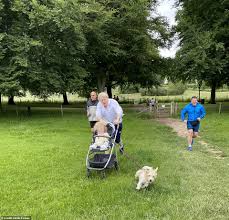 Wilfred johnson makes rare public appearance with carrie ahead of g7 summit. Boris Johnson And His Youngest Son Wilf Were Dragged For A Very Creepy Run On The Field Near The Checkers Injuredly