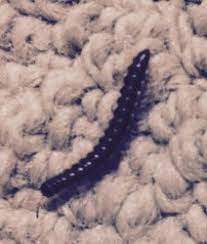 When the ground is wet on a rainy day, worms will crawl out of the earth in search of dry ground. Little Black Worms In Basement Could Be Millipedes All About Worms