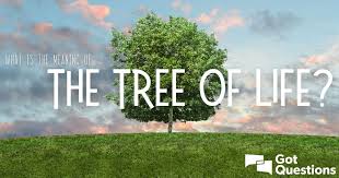 It has become a symbol of immortality because it gives seeds and fruit that create a new life and new trees. What Is The Meaning Of The Tree Of Life Gotquestions Org