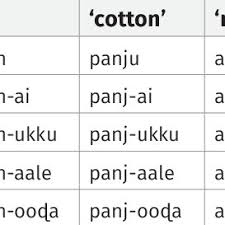 Tamil Regular Noun Declensions Download Table