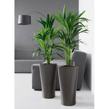Lechuza Delta Premium Plastic Pot Planter Large Indoor Plants Indoor Flower Pots Indoor Plant Pots