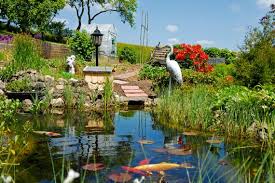 Teich Anlegen Mit Wanne In 2020 Teich Anlegen Garten Ideen Gartenumgestaltung