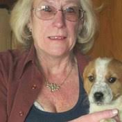 Search Debbie Davis Obituaries and Funeral Services