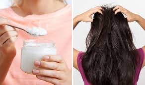 The oil is rich in fatty. Coconut Oil For Hair How Long Should I Leave Coconut Oil In My Hair Express Co Uk