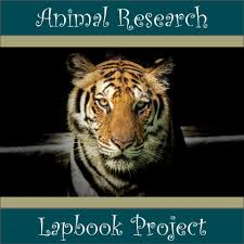 Animal Research Report Lapbook Project Animals Create An Animal Animal Species