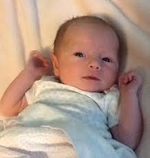 From the Dean's Office