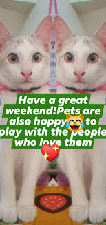 Viva Petsenyor Sugboanon🎊❤️ Happy friday everyone❤️🌺 #highlights