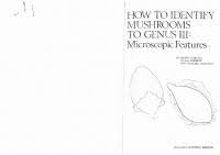 Image result for Strychnos kasengaensis