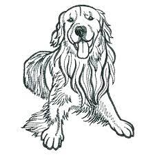 Coloring pages draw a puppy realistic golden retriever coloring. Golden Retriever Coloring Page Panarukan Colors
