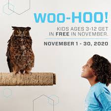 Jacksonville.bookoo.com is the premium online classifieds community for jacksonville, florida and surrounding areas. Kids Free November At Mosh Jacksonville S Museum Of Science And History