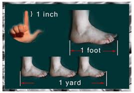 grade 1 math measurement inch foot and yard