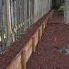 To eliminate soil compaction (important for healthy plants), choose a width that allows you to reach all plants without stepping into the bed. 3