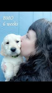 Heather Danz's Instagram, Twitter & Facebook